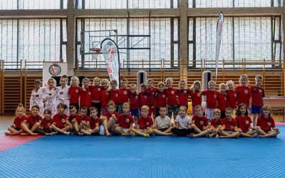 Taekwondo klub Čigra vrši predupise!