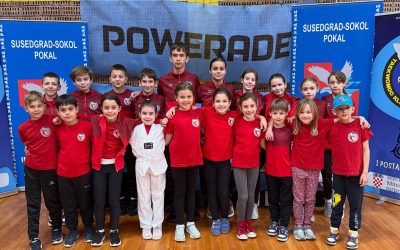 Susedgrad sokol pokal 2026.